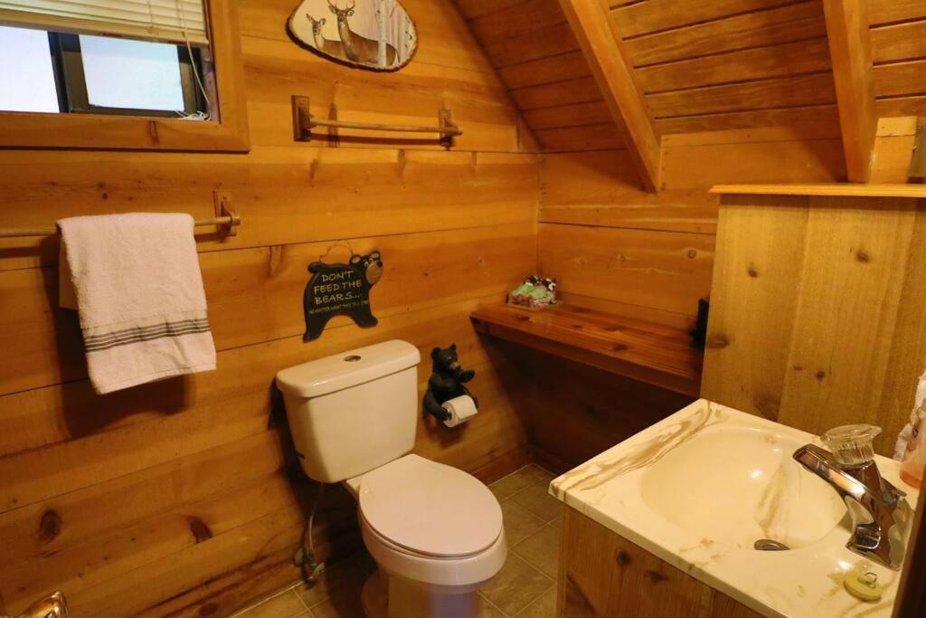 Cozy Cabin W/ Fireplace 3 Minutes To Helen! #2. المظهر الخارجي الصورة