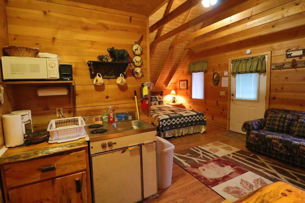 Cozy Cabin W/ Fireplace 3 Minutes To Helen! #2. المظهر الخارجي الصورة